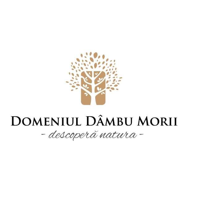 Отель Domeniul Dâmbu Morii Брашов-33